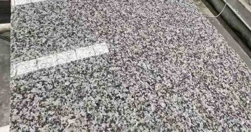 遂宁 芙蓉白光面