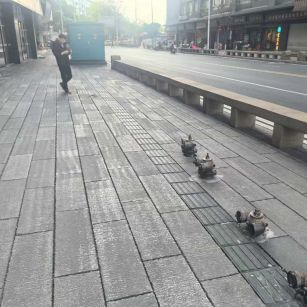 遂宁仿古石铺装效果