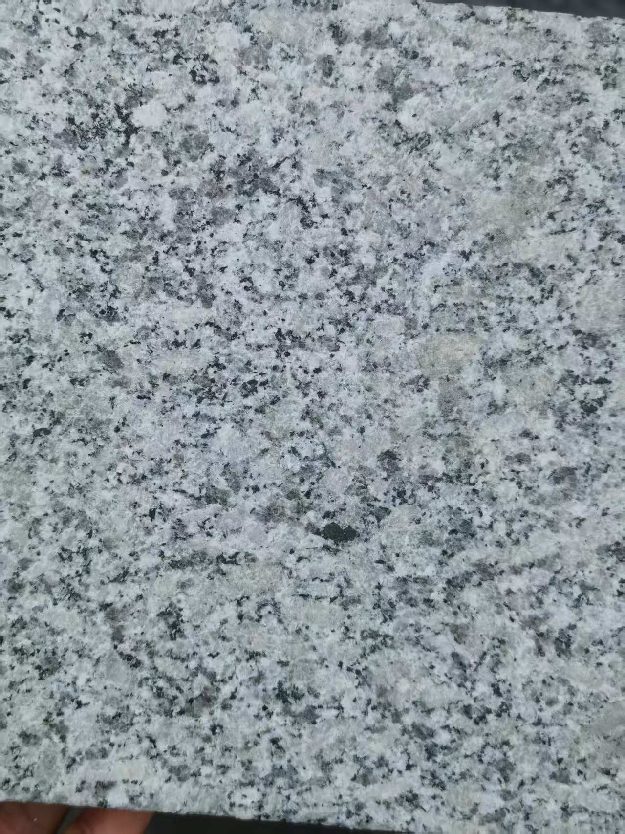 遂宁 芙蓉白火烧面