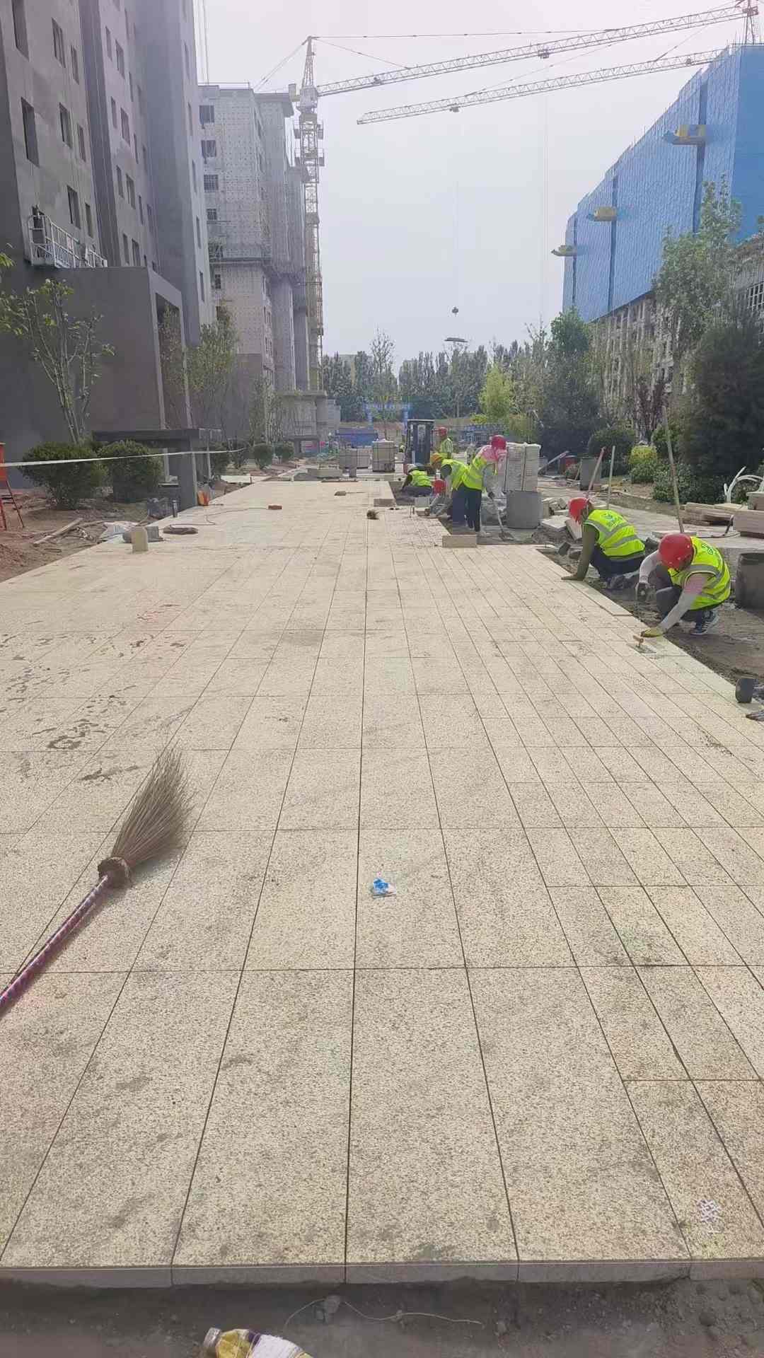 遂宁黄金麻荔枝面地铺案例