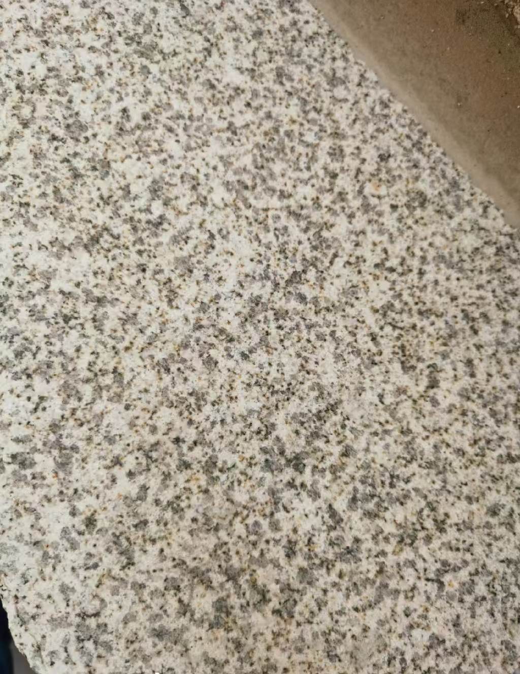 遂宁 黄金麻中黄光面